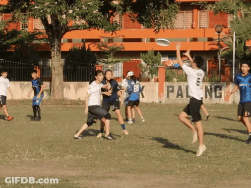 People Playing Frisbee Pal Ng Wall GIF