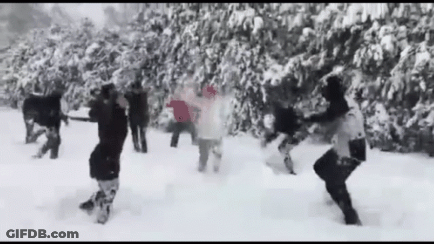 People Playing Snowball Fight GIF