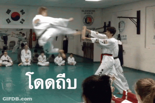 People Practicing Martial Arts In Gym With Korean Flag GIF