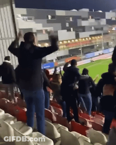 People Raising Hands In Stadium GIF