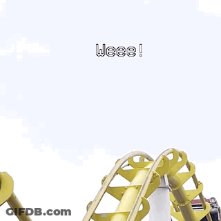 People Riding A Roller Coaster With The Words Weee Above Them GIF
