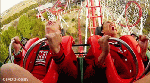 People Riding Roller Coaster With Michigan Shirt GIF
