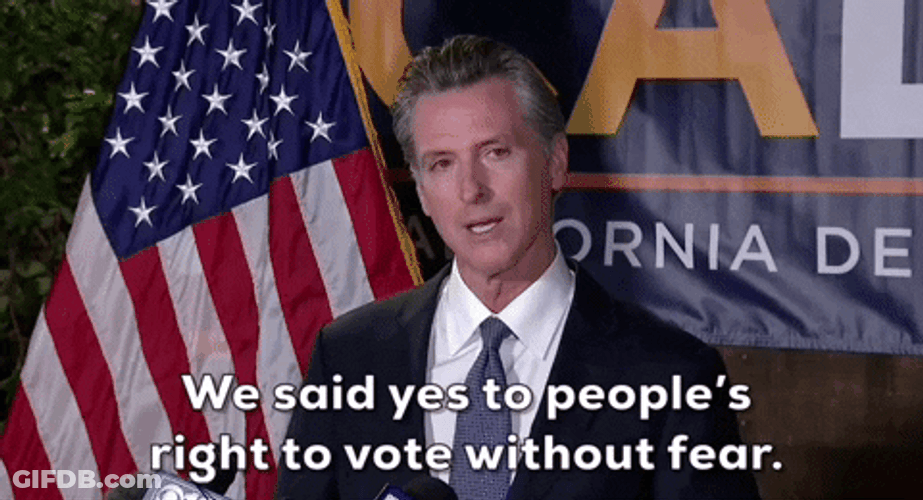 People's Right To Vote Gavin Newsom GIF