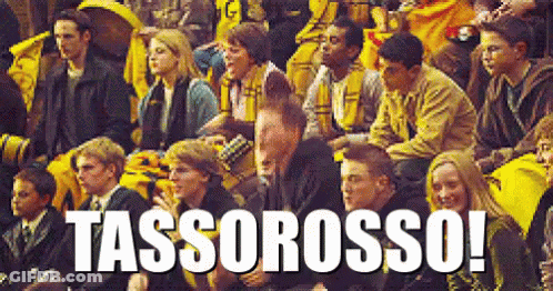 People Sitting In Stadium With Tassorosso GIF