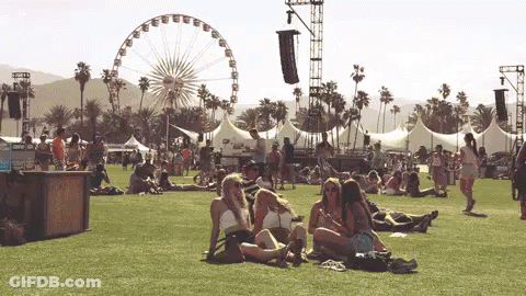 People Sitting On Grass At Music Festival GIF