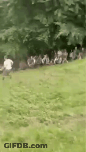 People Sitting On Grass In Park GIF