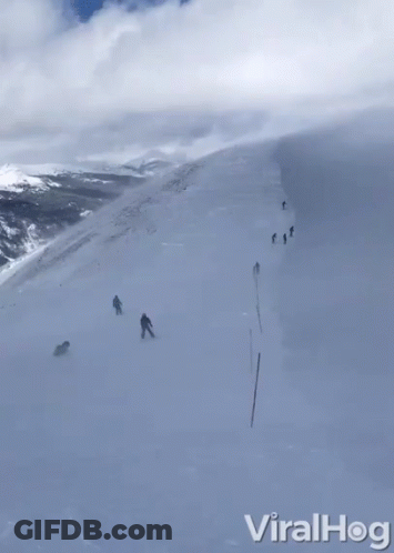 People Skiing Down Snow Slope GIF