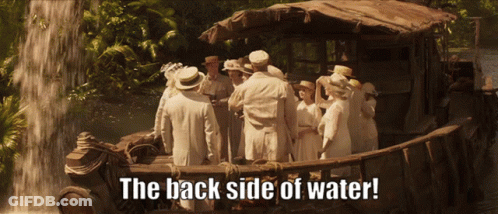 People Standing At Waterfall The Back Side Of Water GIF