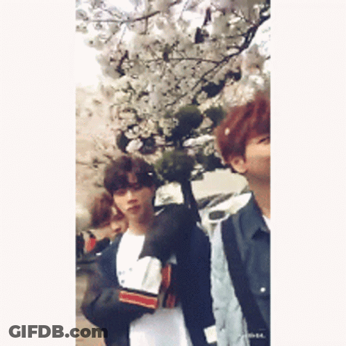 People Standing Next To Flowering Tree GIF