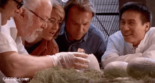 People Viewing Fossil In Museum GIF