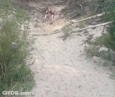 People Walking Down Dirt Path Viralhog GIF
