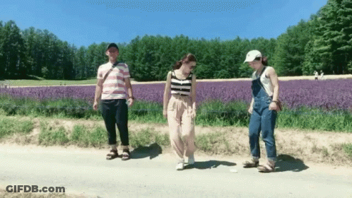 People Walking In Lavender Field GIF