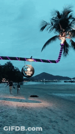 People Walking On A Beach With A Sign That Says Lotus Cafe GIF