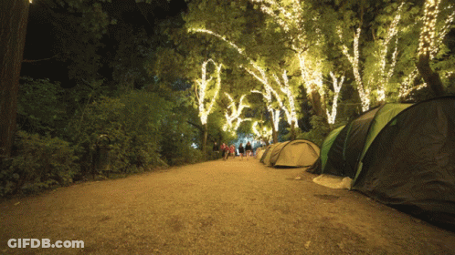 People Walking On Dirt Road With Lit Trees GIF