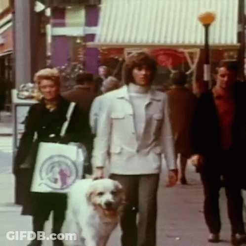People Walking With Dog And Woman Carrying Shopping Bag GIF