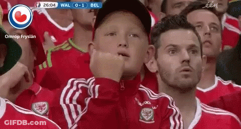 People Watching Game In Stadium GIF