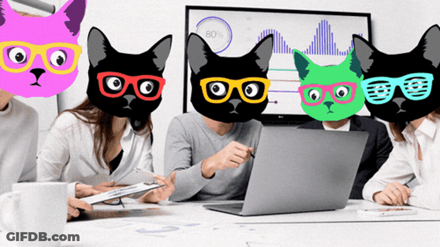 People With Cat Heads In Collaboration GIF