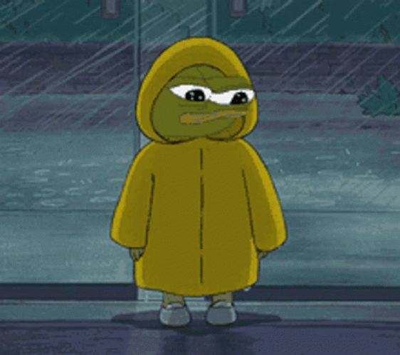 Pepe Frog Wearing Raincoat GIF