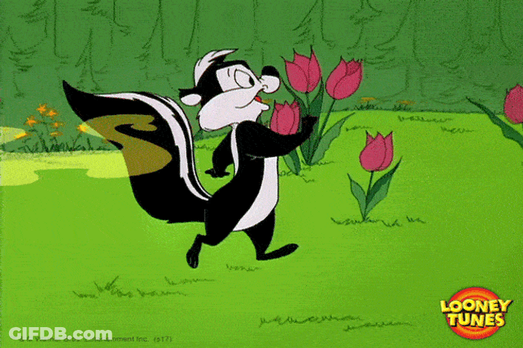 Pepe Le Pew Chill Walking GIF