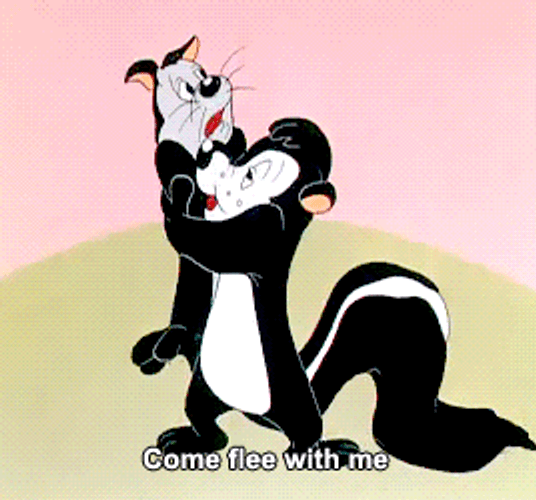 Pepe Le Pew Come Flee With Me GIF
