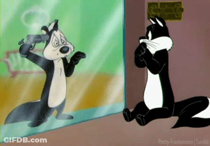 Pepe Le Pew Gun In Head GIF