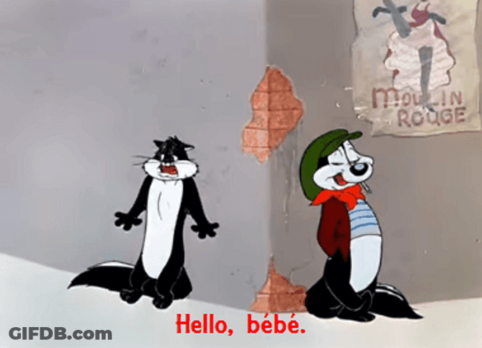 Pepe Le Pew Hello Bebe GIF