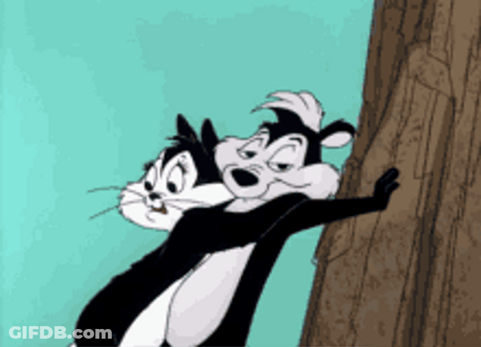 Pepe Le Pew Scared Girlfriend GIF