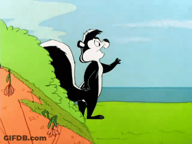 Pepe Le Pew Walking By The Beach GIF