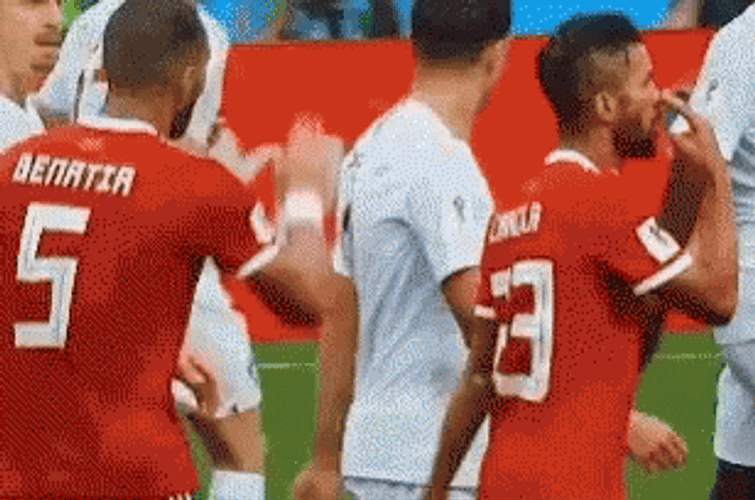Pepe Portugal Player Fall Down The Ground GIF