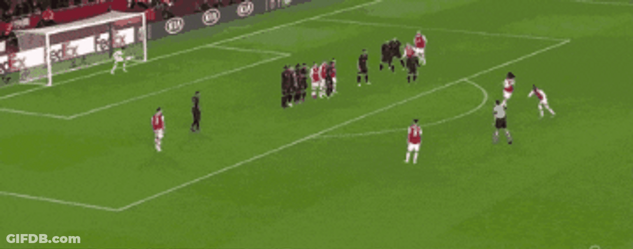 Pepe Portugal Player Goal GIF