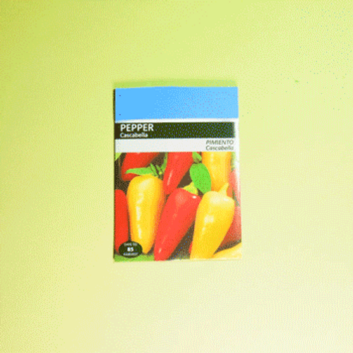 Pepper Gardening Procedure GIF