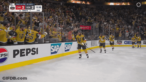 Pepsi Hockey Game In Stadium GIF