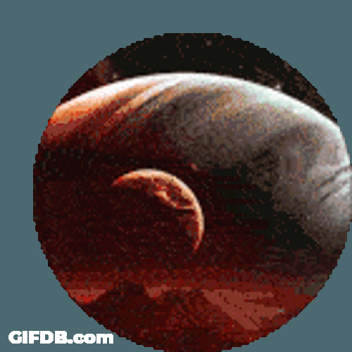 Peragus Serveur Sticker GIF