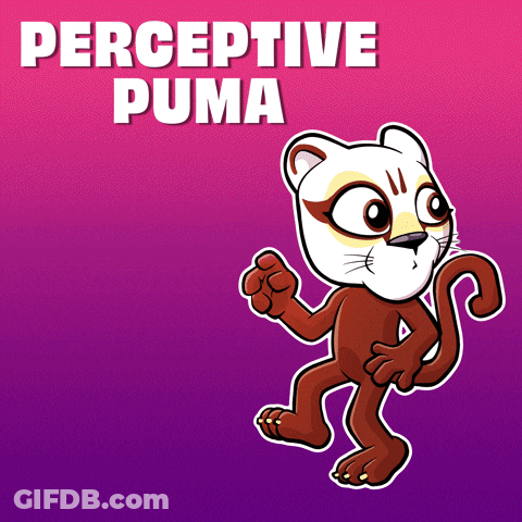 Perceptive Puma Cat GIF