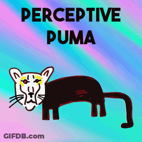 Perceptive Puma Cougar GIF