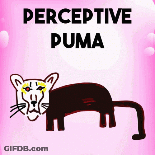 Perceptive Puma Drawing GIF