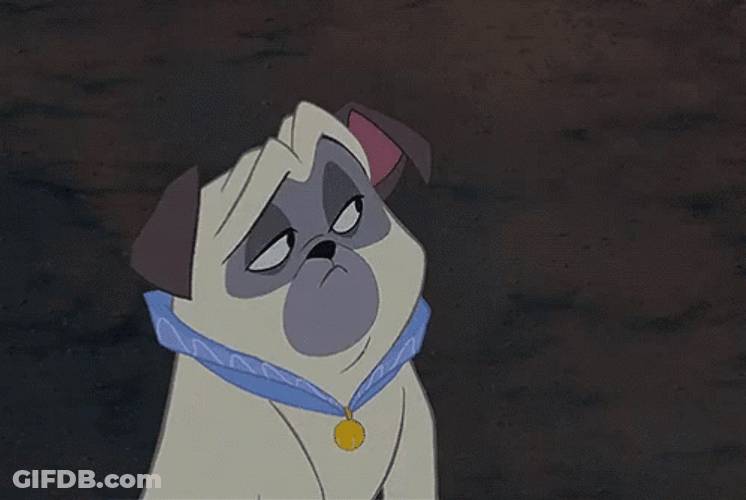 Percy Wearing Blue Collar Eye Roll Meme GIF