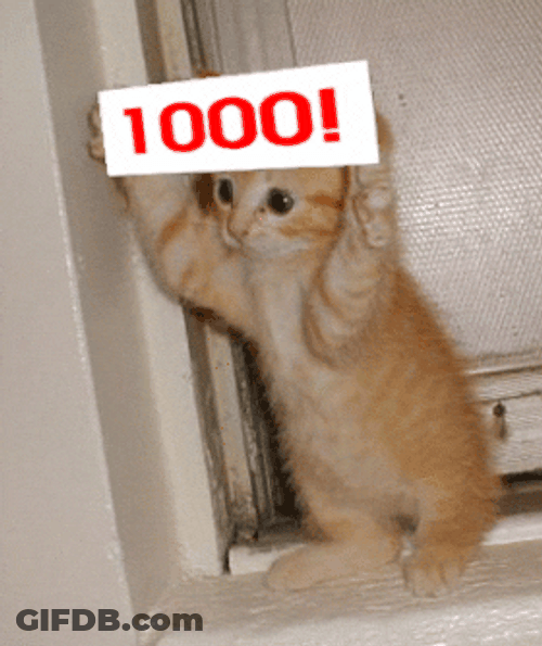 Perfect 1000 Cat With Gun GIF
