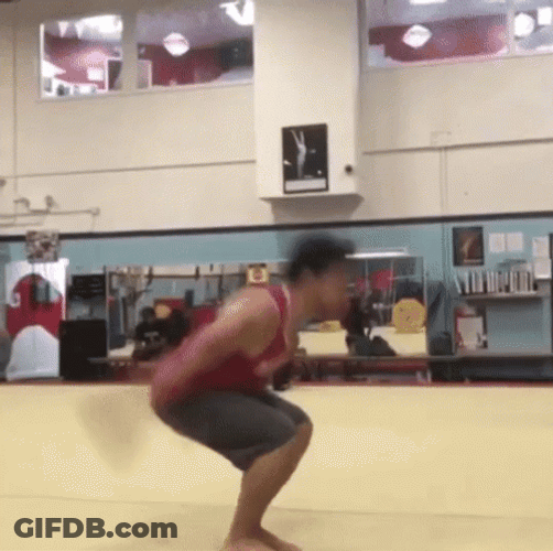 Perfect Backflip GIF