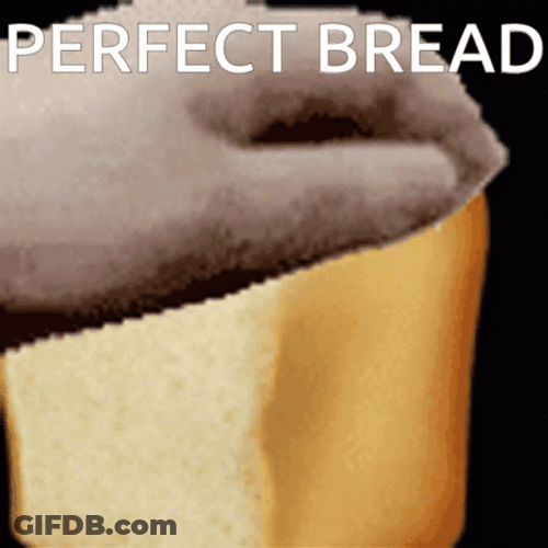 Perfect Bread Falling Over Getting Pets GIF