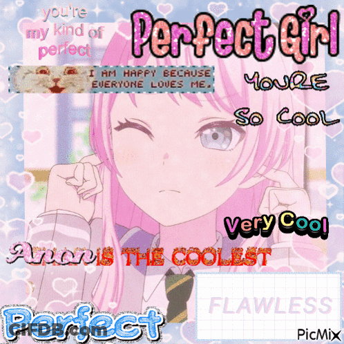 Perfect Girl GIF