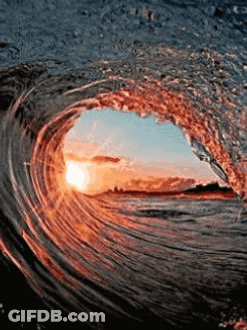 Perfect Waves For Surfing GIF