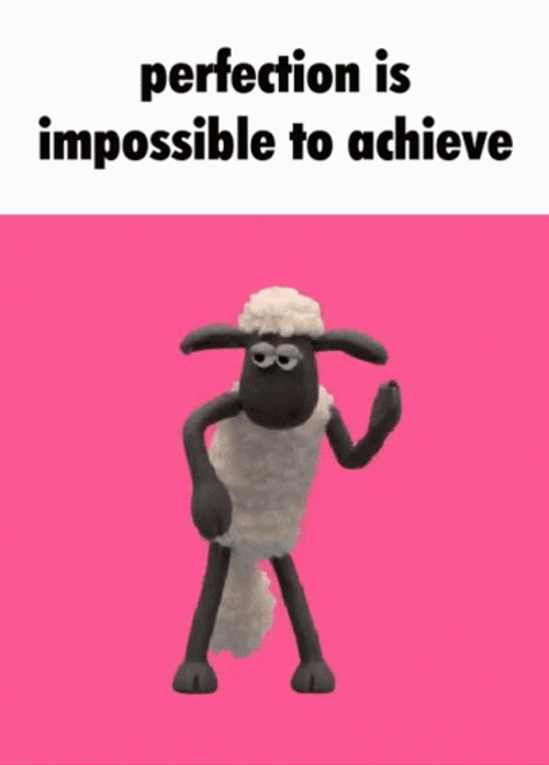 Perfection Is Impossible To Achieve GIF