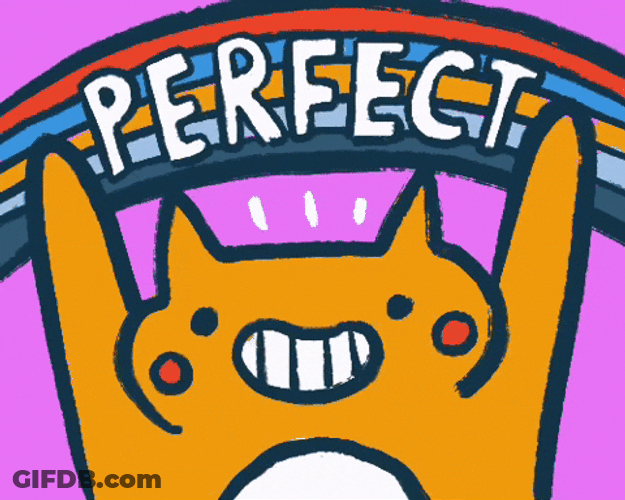 Perfecto Cat Nice Perfect Rainbow GIF