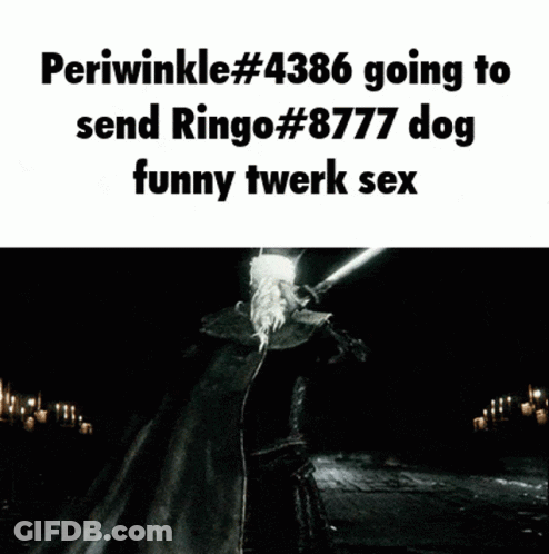 Periwinkle # 4386 Is Going To Send Ringo # 877 Dog Funny Twerk Sex GIF