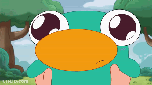 Perry The Platypus GIF
