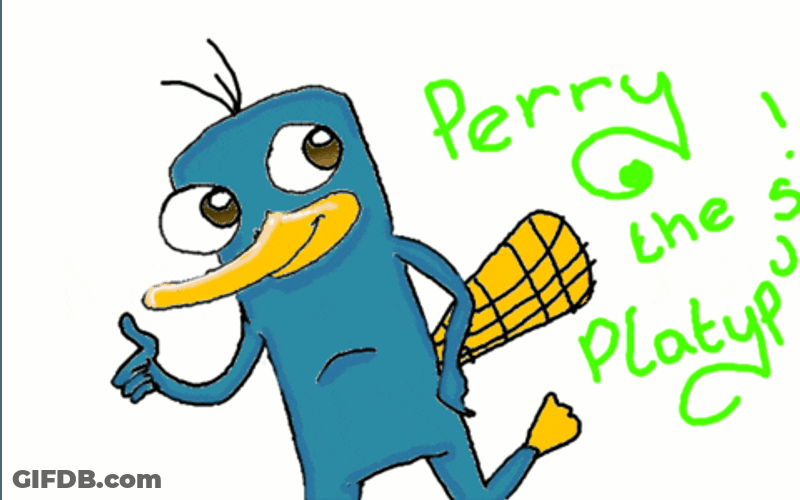 Perry The Platypus GIF