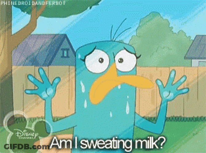 Perry The Platypus Am I Sweating Milk GIF