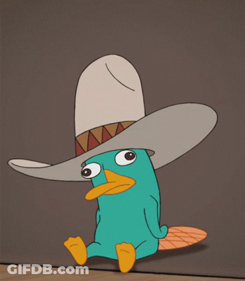 Perry The Platypus Different Hat Styles GIF