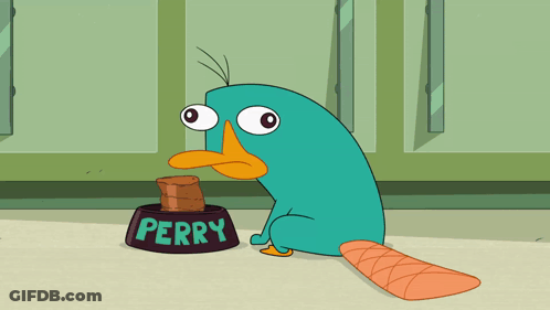 Perry The Platypus From Phineas And Ferb GIF